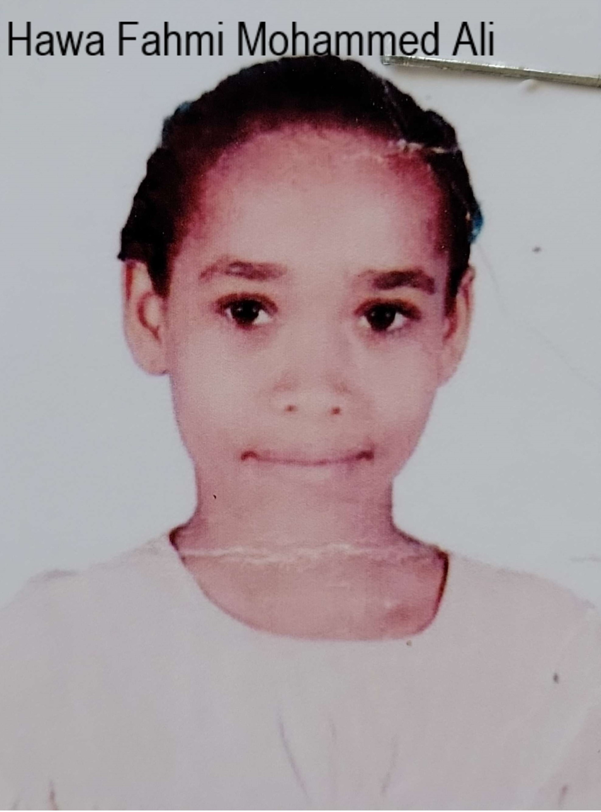 Hawa Fahmi Mohammed Ali